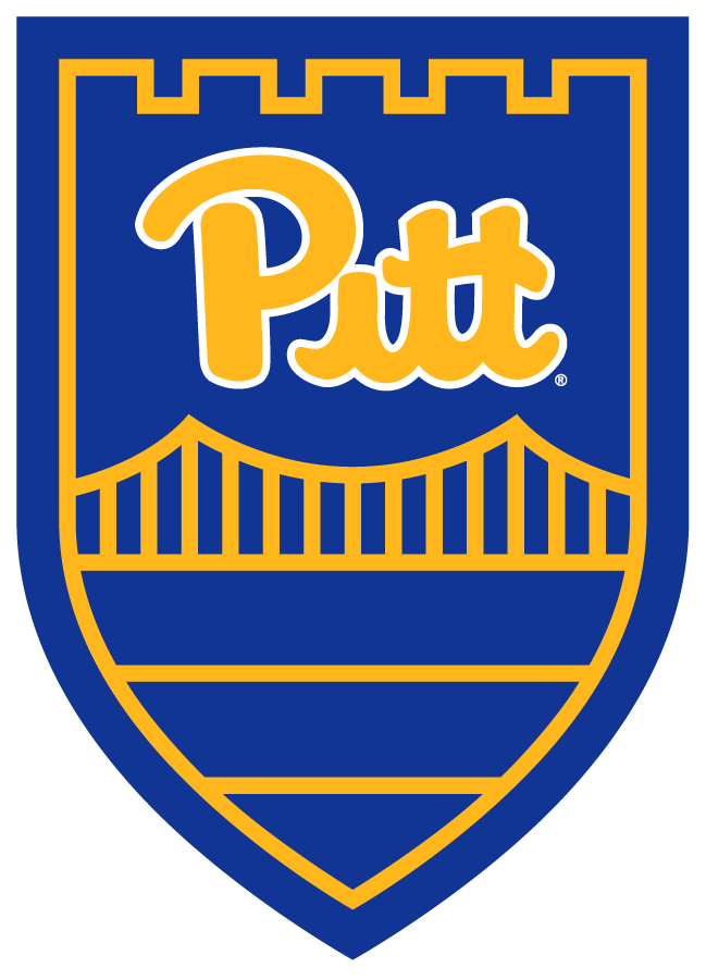 Pittsburgh Panthers 2019-Pres Secondary Logo diy DTF decal sticker